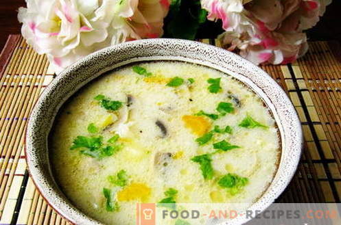 Les soupes avec du riz - les meilleures recettes. Comment bien et savoureux cuire la soupe avec du riz.