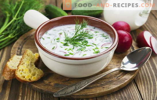 Okrochka, soupe de betterave rouge et autres soupes au kéfir, aux légumes et à la viande. Recettes italiennes, espagnoles et russes pour les soupes au kéfir