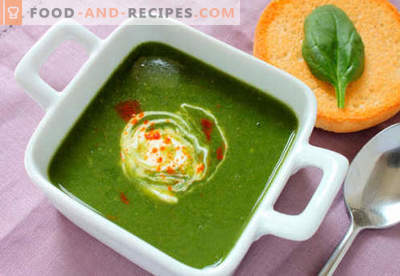 Soupe aux épinards - Recettes éprouvées. Comment bien et savoureux cuire la soupe aux épinards.
