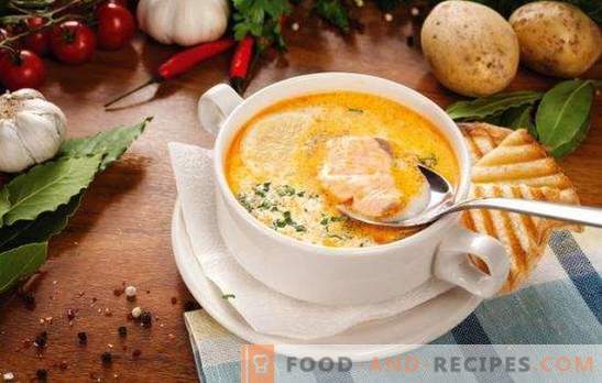 Soupe de poisson - une soupe au goût unique! Recettes pour diverses soupes de poisson avec des conserves, des carcasses et des filets frais, du chou, des haricots