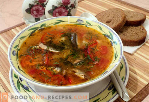 Soupe aux tomates et à la sprat - des recettes éprouvées. Comment faire cuire correctement et délicieusement la soupe aux tomates et à la sprat.