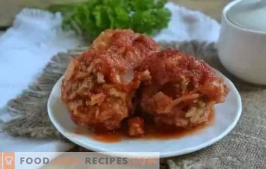 Boulettes de viande à la sauce tomate: recettes étape par étape, secrets culinaires. Un dîner copieux et pressé - recettes de boulettes de viande à la sauce tomate à partir de viande et de poulet