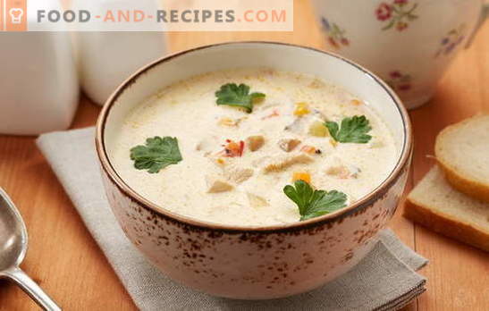 Soupe Pollock - un plat avec un goût excellent! Cuire la bonne soupe de poisson jaune avec légumes, œufs, céréales, fromage, lait