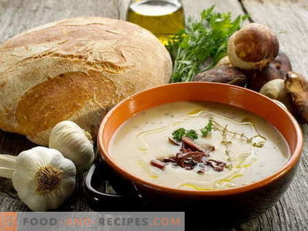 Soupe aux champignons - les meilleures recettes. Comment bien et savoureux cuire la soupe aux champignons.