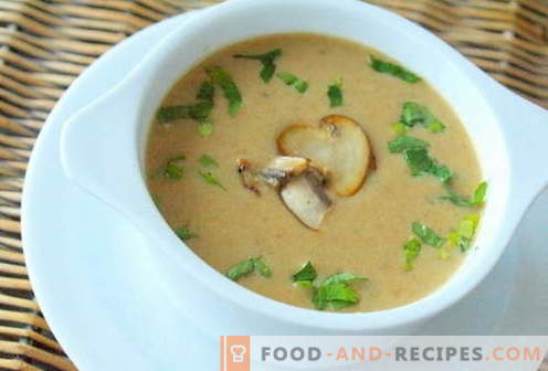 Soupe aux champignons - les meilleures recettes. Comment bien et savoureux cuire la soupe aux champignons.