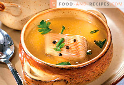 Bouillon de poisson - les meilleures recettes. Comment cuire correctement et savoureux bouillon de poisson.