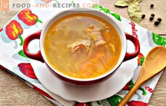 Recettes simples Soupe riche au chou à base de chou frais et de porc. Cuire la soupe la plus russe - soupe de chou frais au porc