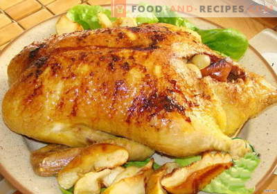 Farcis de canard - les meilleures recettes. Comment cuire correctement et savoureux canard farci.