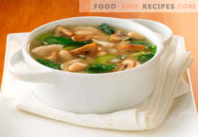 Soupe au bouillon de champignons - les meilleures recettes. Comment bien cuire la soupe dans un bouillon de champignons.