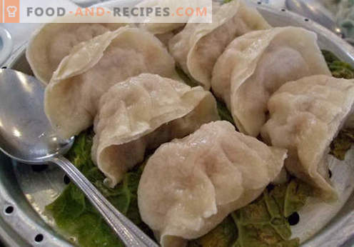 Dumplings à la vapeur - les meilleures recettes. Comment bien et savourer des boulettes cuites à la vapeur à la maison.