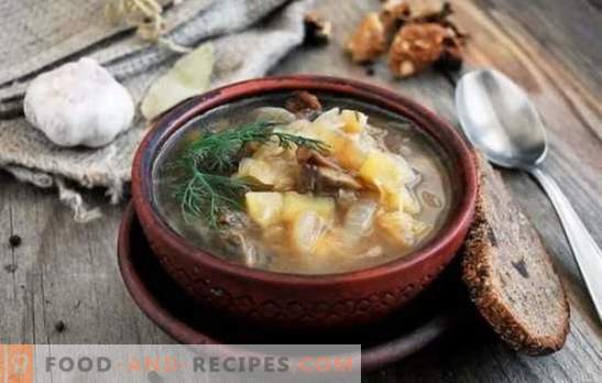 Faites plaisir à votre maison avec une délicieuse soupe de chou frais aux champignons. Recettes de soupe de chou fraîche parfumée aux champignons