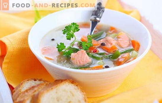 Cuisine rapide - soupes de saumon rose en conserve. Testé des recettes populaires pour les soupes de saumon rose en conserve