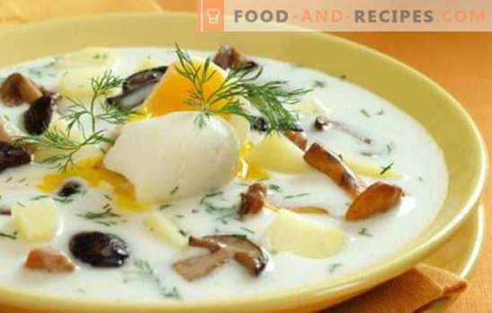 La soupe aux champignons - c'est simple et utile! Les recettes les plus faciles pour une soupe à base de champignons: avec viande, céréales, casseroles, cornichons et méli-mélo