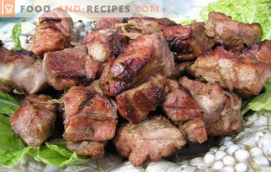 Marinade pour brochette de porc au kéfir - tendre! Collection de recettes de marinade pour la viande sur le feu: marinade de porc au kéfir