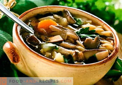 Soupe aux haricots - les meilleures recettes, astuces et secrets. Comment faire cuire une délicieuse soupe aux haricots: avec viande, bacon, poulet