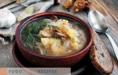 Soupe de choucroute aux champignons: traditionnelle et originale. Soupe de chou aux champignons, sarrasin, haricots, orge
