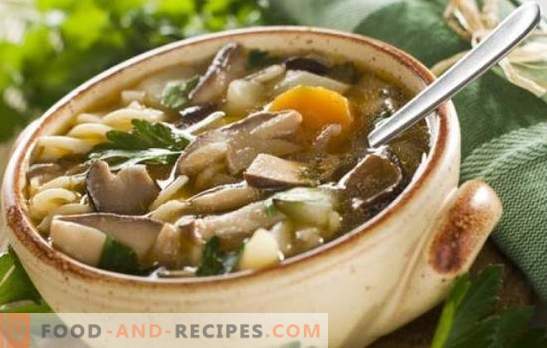 Soupe aux champignons et champignons - simple et facile! Recettes de soupe aux champignons et au champignon avec poulet, sarrasin, nouilles et fromage