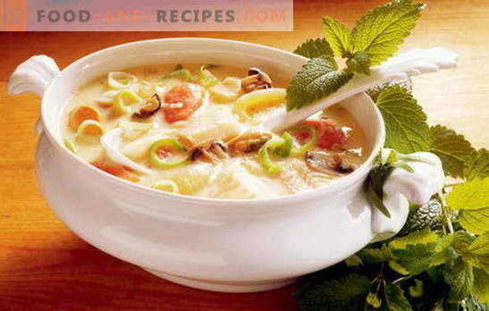 La recette d’une bonne soupe aux légumes est la base d’une nutrition adéquate. Une sélection des meilleures recettes pour une savoureuse soupe de légumes à partir de différents légumes