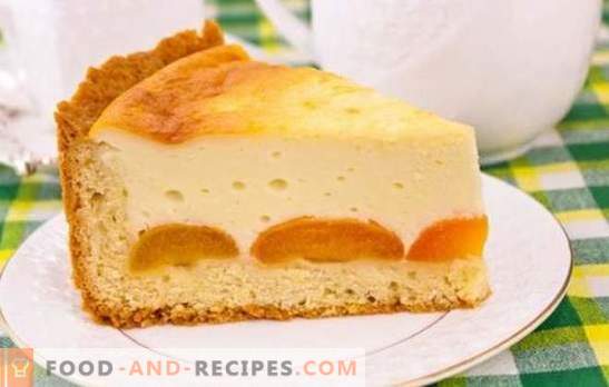La tarte au fromage cottage et aux abricots est un dessert sain et délicieux. Recettes de tartes au fromage cottage et d'abricots à partir de différents types de pâte