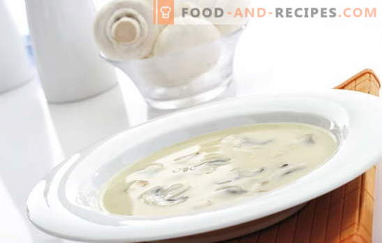 La crème de champignon est un plat complexe mais abordable pour tous les goûts. Velouté aux champignons avec différentes variations de la base
