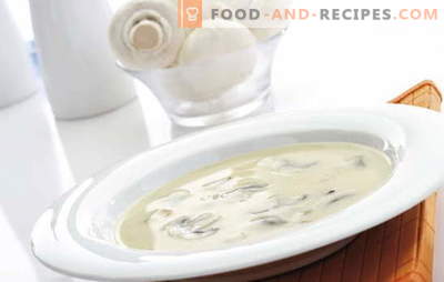 La crème de champignon est un plat complexe mais abordable pour tous les goûts. Velouté aux champignons avec différentes variations de la base