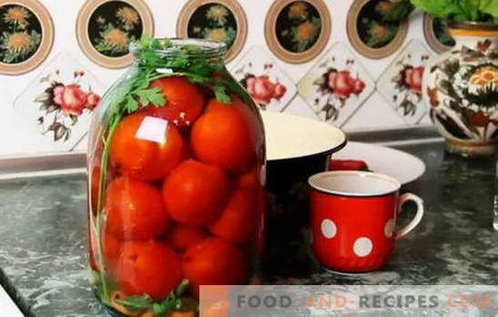 Les meilleures recettes pour les tomates sous la couverture de capron. Comment préparer des tomates sous la couverture du capron: conseils de hôtesses expérimentées