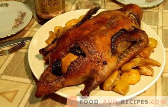 Canard aux pruneaux - un plat pour les vrais gourmets. Cuisson du canard aux pruneaux selon différentes recettes sur la cuisinière, dans la cocotte et au four