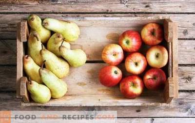 Compote de pommes et de poires pour l’hiver: les composantes du goût. Compote préférée de pommes et de poires pour l'hiver dans des recettes sans le savoir