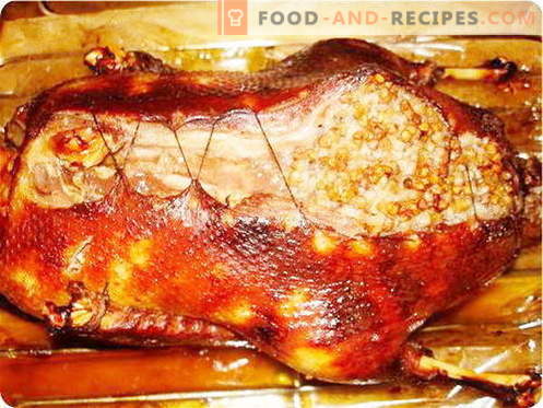 Canard dans la manche - les meilleures recettes. Comment bien et savoureux cuire un canard dans la manche.