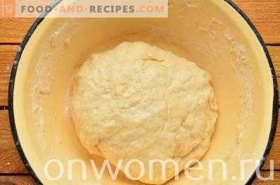 Pan integral integral en el horno