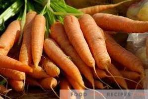 Comment congeler les carottes pour l'hiver