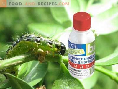 Le lépidocide est un médicament efficace contre les ravageurs dévoreurs de feuilles