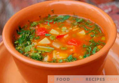 Vegetable broth - the best recipes. How to properly and tasty cook vegetable broth.