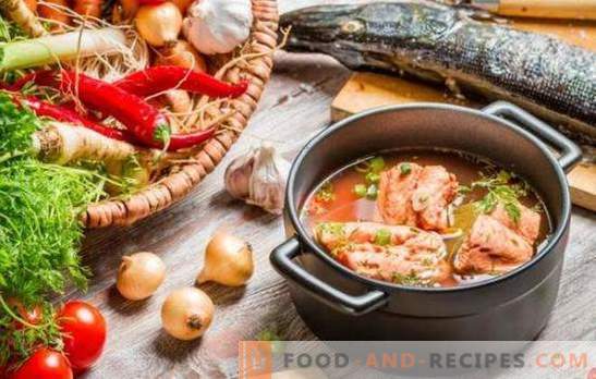 Soupe de poisson rouge - un goût excellent et un bénéfice maximal. Une sélection des meilleures recettes de soupe de poisson rouge au millet, tomates, caviar rouge