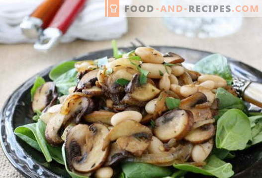 Salade aux champignons sautés - une sélection des meilleures recettes. Comment bien et savoureux faire cuire une salade avec des champignons frits.