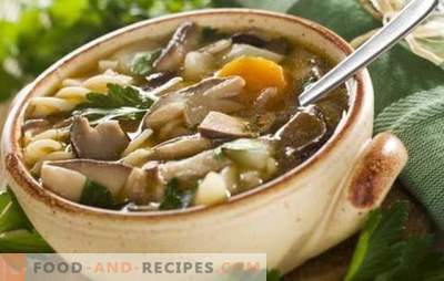 Soupe aux champignons et aux cèpes - la plus préférée! Recettes de soupe aux champignons avec cèpes: à la crème, pâtes, orge, bacon
