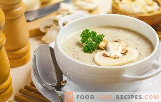 Soupe au champignon parfumée: recettes étape par étape. Préparer une simple soupe et une soupe à la crème de champignons européenne (étape par étape)