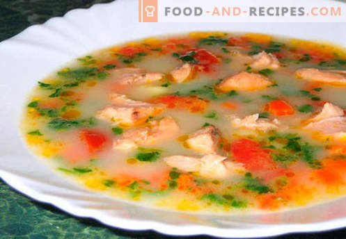Soupe au saumon - les meilleures recettes. Comment bien et savoureux cuire la soupe au saumon.