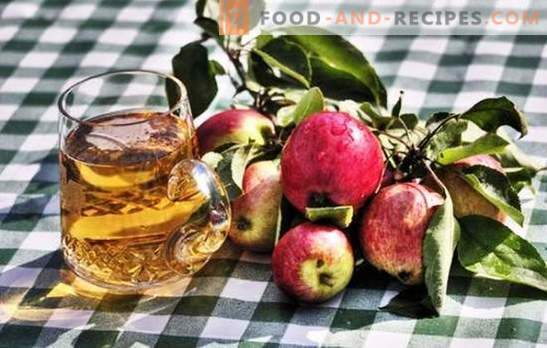 Fabrication du cidre de pomme fait maison - un produit naturel! Comment préparer les matières premières pour le cidre de pomme à la maison