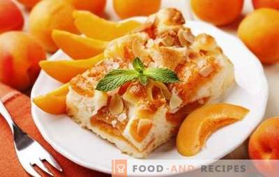 La tarte aux abricots de Julia Vysotskaya est un chef-d’œuvre! Recette célèbre tarte aux abricots de Vysotsky et ses modifications