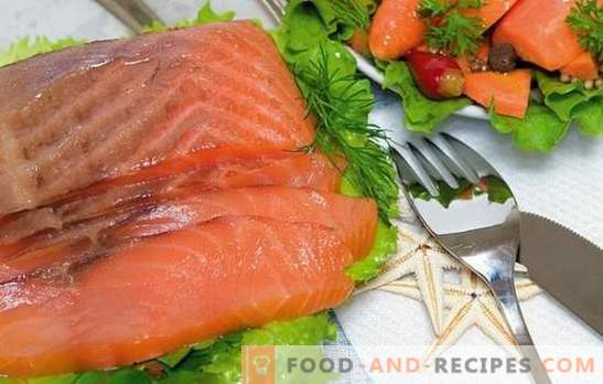 Saumon Saumon à la maison: des mets abordables! Recettes saumon rose salé et les secrets de le saler à la maison