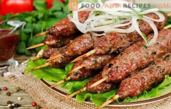 Kebab traditionnel sur le gril: de quoi et comment. Recettes de kebab de lula à base d'agneau, de porc, de poulet et de pommes de terre