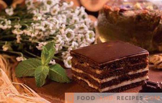 Gâteau Spartacus - recettes pour le bonheur au miel et au chocolat! Tous les secrets, astuces, différentes options et recettes du gâteau 
