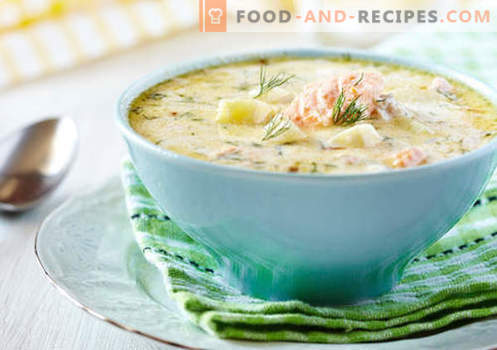 Velouté - recettes éprouvées. Comment bien et savoureux faire cuire la soupe avec de la crème.
