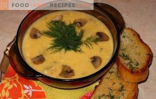 Soupe au fromage aux champignons - douce, savoureuse, satisfaisante. Recettes meilleures soupes au fromage avec champignons et poulet, légumes et fumés