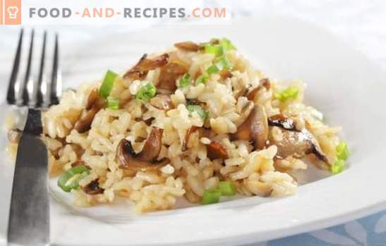 Risotto in a slow cooker - a dish from Italy. Risotto recipes in a multicooker with mushrooms, chicken, vegetables, bacon