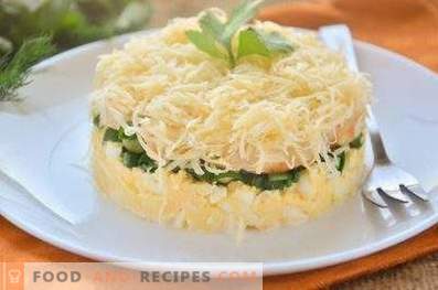 Salade en couches avec poulet, oeuf et oignons verts